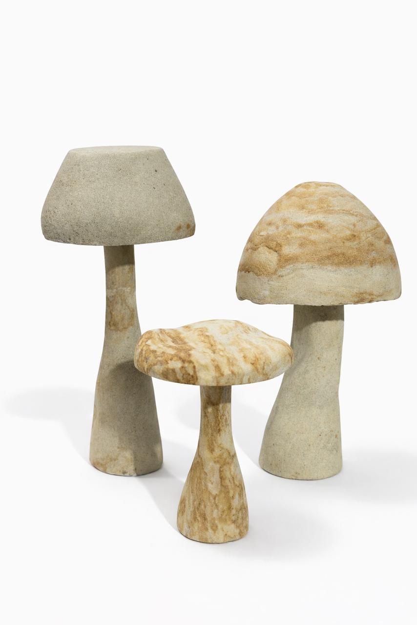 Hongo L Bravío | The Blue House